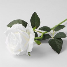 늘윗트 벨벳 장미 조화 화이트