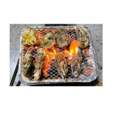 일회용 바베큐 그릴 숯불 바베큐 일회용 캠핑 바베큐 그릴 대용량 천연숯 바베큐 숯불 고기 불판 그릴 바베큐 석쇠 여행필수품 일회용 바베큐 용품, 31cm*24cm*5cm, 1개