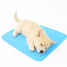 피노제 강아지 고양이 쿨매트 쿨방석 쿨링매트, 블루, 1개