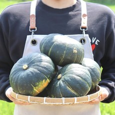 농산물마루 단호박, 1박스, 3kg