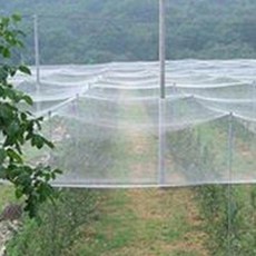 험블마켓 대형 한랭사 논밭 과수원 해충방지 한냉사 방충망 2.5Mx20M, 2Mx20M, 1개