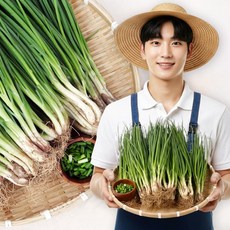 조선명찬 프리미엄 강원도 산지직송 국내산 흙쪽파, 1개, 1kg