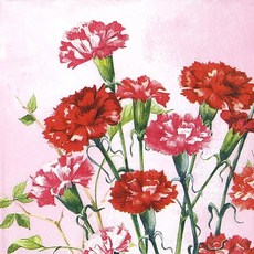카네이션 냅킨 K-20-049, 믹스, 1세트, 5개