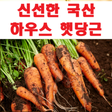 국내산 첫수확 하우스 햇당근, 1박스, 중10kg
