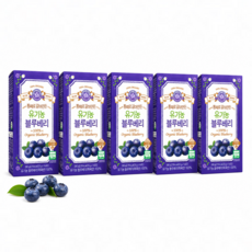 홀베리 통째로 갈아만든 유기농 블루베리, 20g, 70개