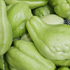 국내산 햇 차요테 차요태 Chayote sayote 저칼로리 식이섬유 다이어트 식단 동남아 채소 야채, 1개, 말린 차요테(dried chayote) 100g