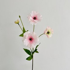 [리브나인] 인테리어 오브제 촬영소품 버터플라이 라넌큘러스 고급 실크 조화 1가지 (5송이), 1개, 연핑크 (5송이)