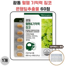 광동 혈행 기억력 징코 은행잎추출물 60정 1개 사은품 증정