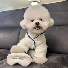 寵物浴巾浴袍拍照道具 可愛時尚 速乾 可機洗, 1個, 拖鞋-玩具,玩具均碼