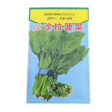 沙拉菠菜種子，易於種植，口感鮮嫩，適合家庭種植，享受田園樂趣, 1個