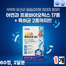 뉴일리 프로바이오틱스 골드 밸런스 식물성캡슐 복합 건강기능식품 60캡슐, 1개, 60정