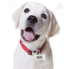 조은 강아지 각인목걸이 강아지네임목걸이