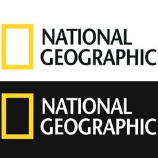 내셔널지오그래픽 블랙 화이트 1세트 차량 스티커, 단품, 1개