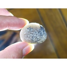 §能量礦石§ Saffordite Arizona亞利桑那隕石 21.24g 天狼星 美國隕石 產地直寄保真, 1個