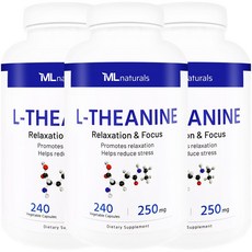 [미국번개배송] 착한명품 마이라이프 내추럴스 L-테아닌 250mg 240정 3병, 3개