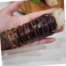 스파이니 랍스터 테일 1미 업소용, 1개, 상세페이지 참조