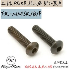 老羊樂器店 德國 Floyd Rose FR-NMSR/B/P 上弦枕螺絲 底部鎖緊 黑色, 1個