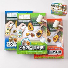 곤충장난감 곤충화석발굴키트, 본상품