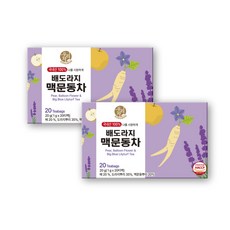 우리차 송원식품 배도라지 맥문동차 티백, 2개, 20개입, 1g