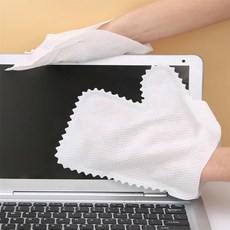 퀸스밸리 부직포장갑 부직포 청소 장갑 10p, 대