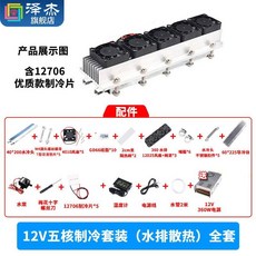12V半導體製冷片套裝 降溫電子製冷器 小空調冰櫃DIY水冷頭導冷套件, 1個, （零件）12V五核製冷套裝（水排散熱）全, （零件）12V五核製冷套裝（水排散熱）全