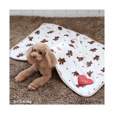 貝果貝果 日本 Pet Paradise 可愛小熊人物空調毯, 1個