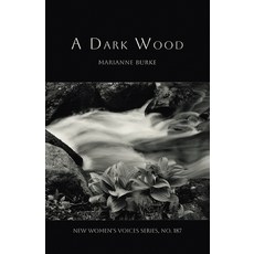 (英文圖書)A Dark Wood 平裝版, Finishing Line Press, 英文