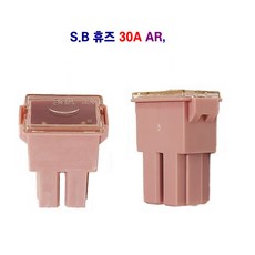 자동차 휴즈 차량용 농기계 메인휴즈 S.B 30A AR (국내제품) 2개입1셋트, 1세트
