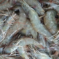 지구팡 국내산 제철 흰다리 새우 1kg 30미내외 2kg 70미내외 대하 새우철 왕새우 활새우 흰다리새우, 1개