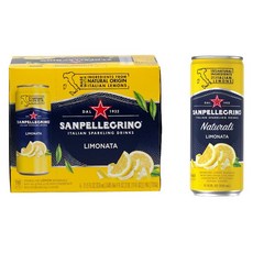 산펠레그리노 이탈리안 스파클링 드링크 레모네이드, 24개, 300ml