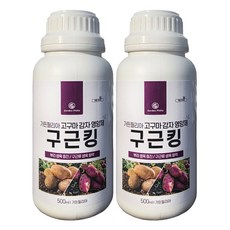가든필리아 구근킹 고구마 감자 비료 마늘 양파 당근 뿌리생육 구근비대제 복합비료 해조추출물, 2개, 500ml