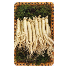 풍기 인삼 6년근 신선한 수삼 250g 5~8편 무료 세척 삼영인삼사, 2세트