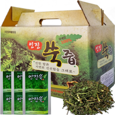 인진쑥즙 100ml x 55개 편안하고 활력 있는 하루를 위한 건강진액 국내산 인진쑥100%
