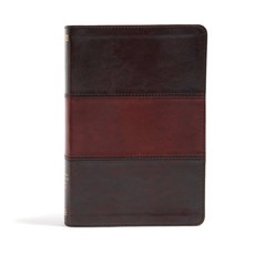 (영문도서) Rainbow Study Bible-NIV Imitation Leather, Holman Bibles, English, 9781433616556