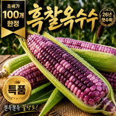 [초특가] 26년 햇 강원도 흑찰옥수수 쫀득쫀득 국내산 찰옥수수 산지직송, 1박스, 특품 20개
