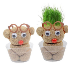 루체트리 잔디인형 머리가 자라는 머리잔디 키우기 식물 반려