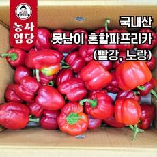 당일작업 국내산 못난이 파프리카 혼합(빨강 노랑), 1개, 5kg