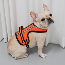 RealPet 강아지 서포트 3M 하네스, Orange, 1개