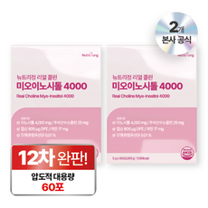 뉴트리정 콜린 미오이노시톨 4000 엽산 대용량 60포, 2박스, 300g