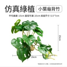 【閃電聯盟】CLEEN 其鱗 爬寵模擬植物 仿真植物 仿真樹葉 仿真葉子 藤蔓 爬蟲造景 爬蟲 守宮 蜥蜴 變色龍 角落, 1個, 小葉龜背竹