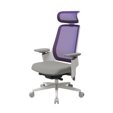 SIDIZ GX網背高階電競椅(電競椅 電腦椅 人體工學椅)官方旗艦店, 白框變色龍灰