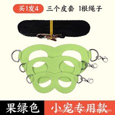 다람쥐 목줄 하네스 글라이더 로프 외출 밧줄 동물 햄스터 스트랩 애완 가슴줄 야외, 과일녹색 안전줄