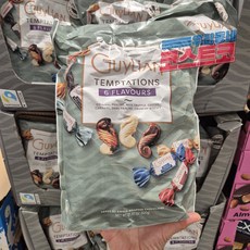 GUYLIAN 길리안 템테이션 파우치 620g 코스트코, 1개