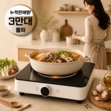 초고화력 저소음 1구 인덕션 전기레인지 가정용 휴대용 모든냄비가능, 일반형, IH 스퀘어 인덕션