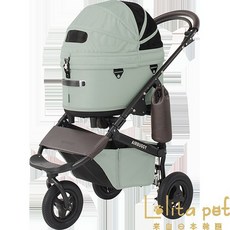 블로썸핑크 레귤러 dome3 airbuggy 라지 에어버기 돔3 풀세트 강아지유모차, G. 그린 레귤러 11월 입고