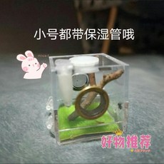 專業跳蛛飼養盒 XL-LX 小型非捕造景箱 佛羅里達跳蛛昆蟲帶加濕器投食口, 1個, 跳蛛飼養盒小號(3.5cm)