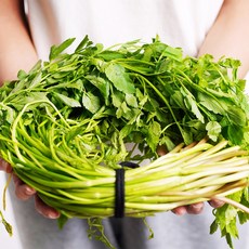 전라도청녀 프레시 국내산 미나리, 2kg, 1개