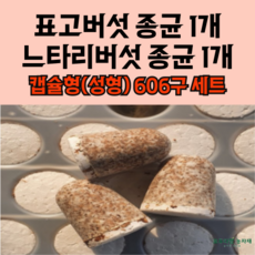 모두다팜 표고버섯종균 1개 느타리버섯종균 1개 세트 606구 성형 버섯종균 버섯키우기, 1세트