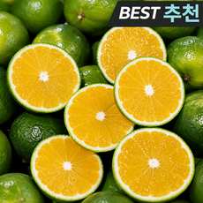 [제주직송] 제주 햇 청귤 풋귤, 1박스, 10kg
