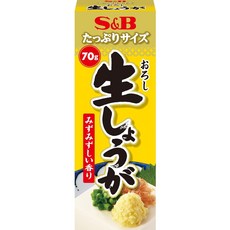 S&B 생강 페이스트 일본생강 튜브생강 다진생강, 1개, 70g